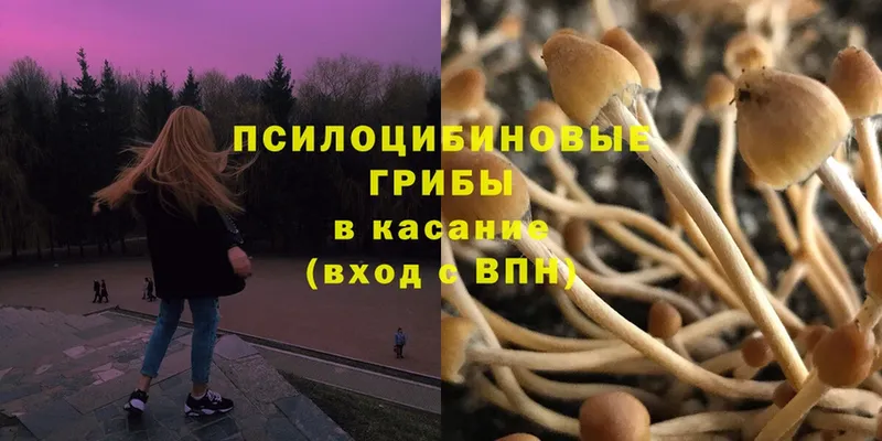 Псилоцибиновые грибы Magic Shrooms  Кудрово 